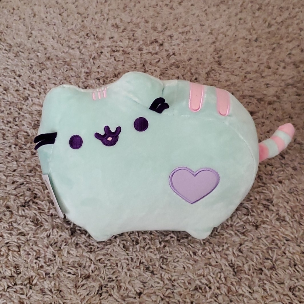 Pastel mint pusheen plush
